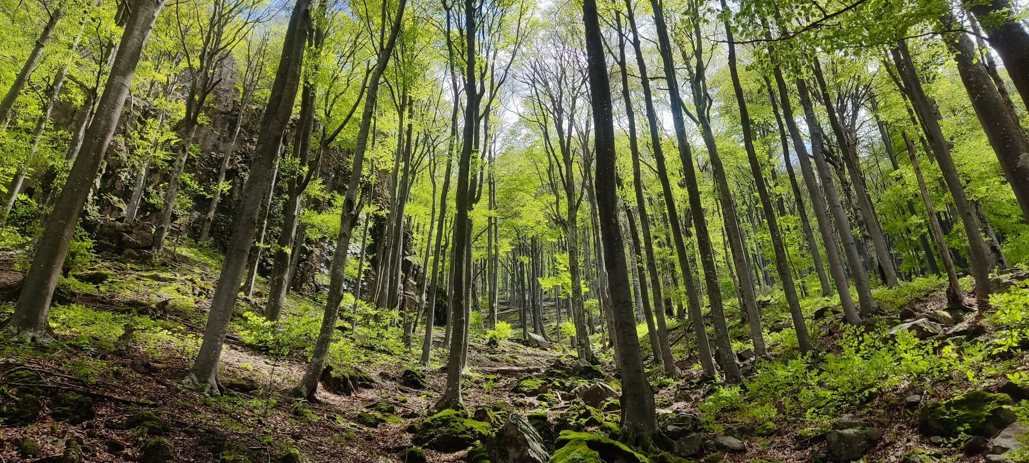 Route image Karadzhova Kila Peak Mahnati Skali Tour